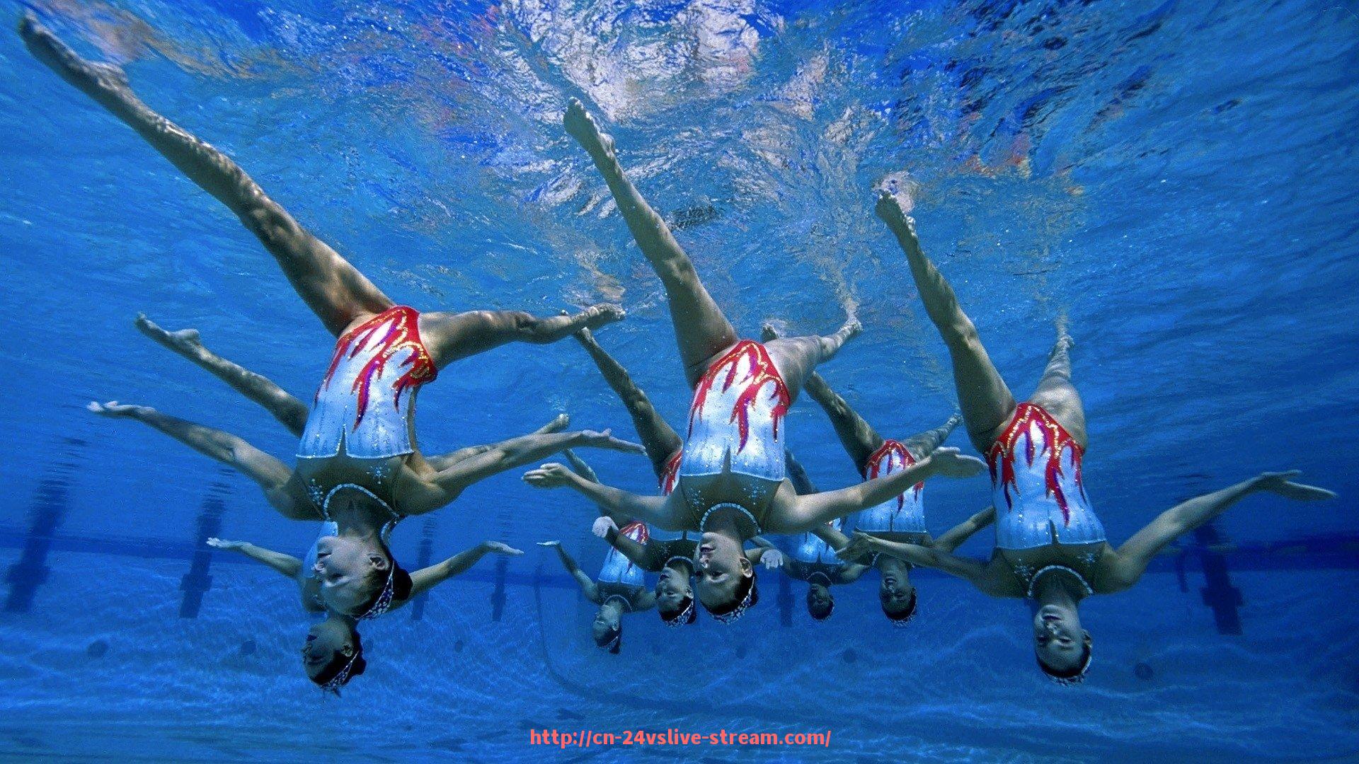 24VS体育直播-世俱杯球队装备供应链管理机制剖析:高效协同与风险控制案例